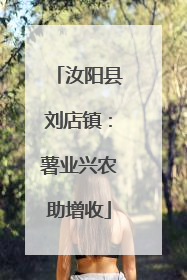 汝阳县刘店镇：薯业兴农助增收