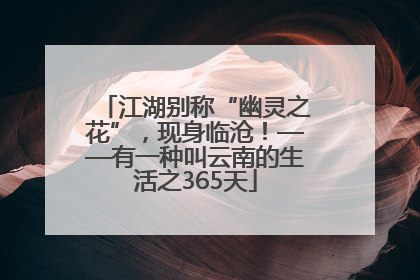江湖别称“幽灵之花”，现身临沧！——有一种叫云南的生活之365天
