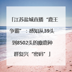 江苏盐城直播“鹿王争霸”：感知从39头到8502头的麋鹿种群复兴“密码”