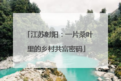 江苏射阳：一片桑叶里的乡村共富密码