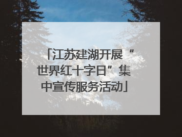 江苏建湖开展“世界红十字日”集中宣传服务活动