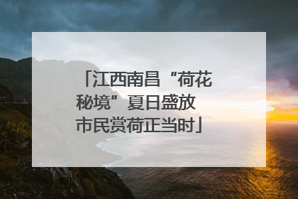 江西南昌“荷花秘境”夏日盛放 市民赏荷正当时
