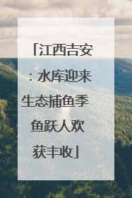 江西吉安：水库迎来生态捕鱼季 鱼跃人欢获丰收
