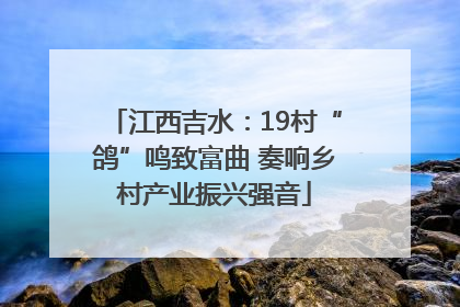 江西吉水：19村“鸽”鸣致富曲 奏响乡村产业振兴强音