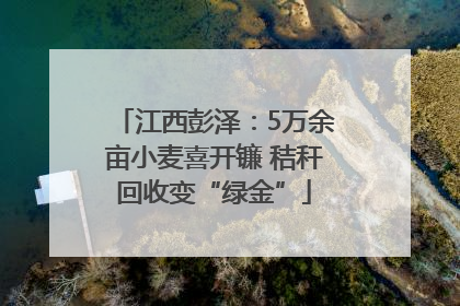 江西彭泽：5万余亩小麦喜开镰 秸秆回收变“绿金”