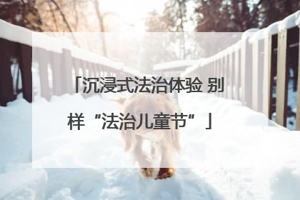 沉浸式法治体验 别样“法治儿童节”