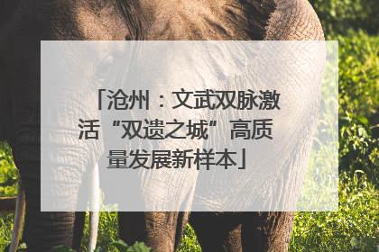 沧州：文武双脉激活“双遗之城”高质量发展新样本