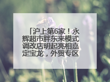 沪上第6家！永辉超市胖东来模式调改店明起亮相嘉定宝龙，外贸专区商品增至13款