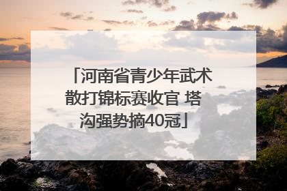 河南省青少年武术散打锦标赛收官 塔沟强势摘40冠