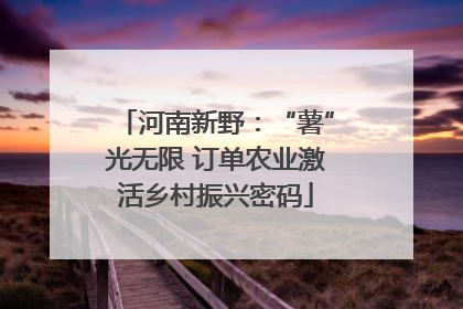 河南新野：“薯”光无限 订单农业激活乡村振兴密码