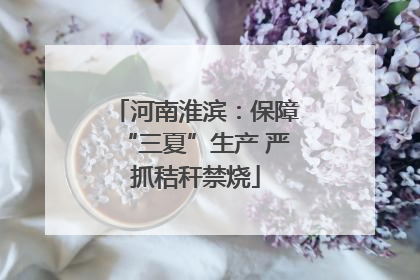 河南淮滨：保障“三夏”生产 严抓秸秆禁烧