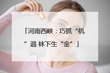 河南西峡：巧抓“机”遇 林下生“金”
