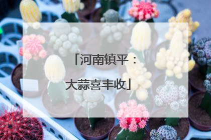 河南镇平：大蒜喜丰收