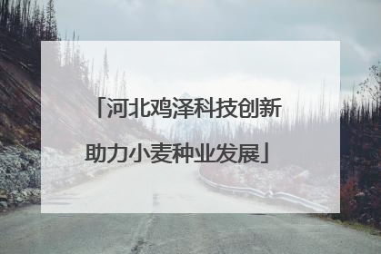 河北鸡泽科技创新助力小麦种业发展