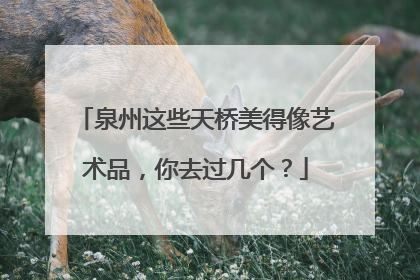 泉州这些天桥美得像艺术品，你去过几个？