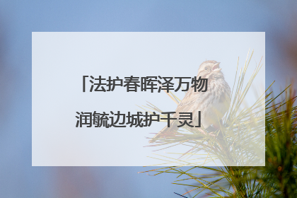 法护春晖泽万物 润毓边城护千灵
