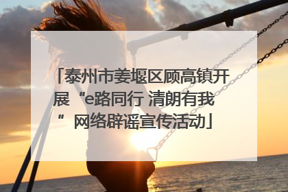 泰州市姜堰区顾高镇开展“e路同行 清朗有我”网络辟谣宣传活动