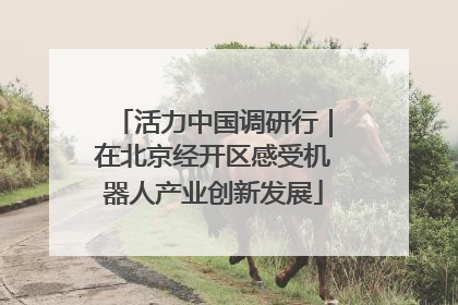 活力中国调研行｜在北京经开区感受机器人产业创新发展