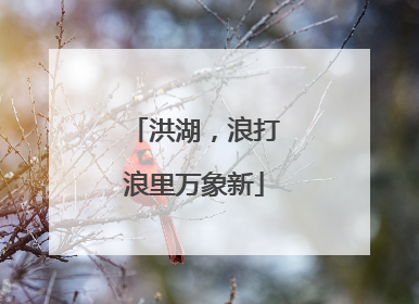 洪湖，浪打浪里万象新