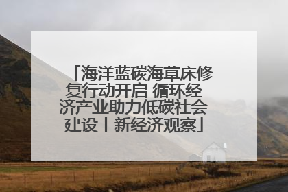 海洋蓝碳海草床修复行动开启 循环经济产业助力低碳社会建设丨新经济观察