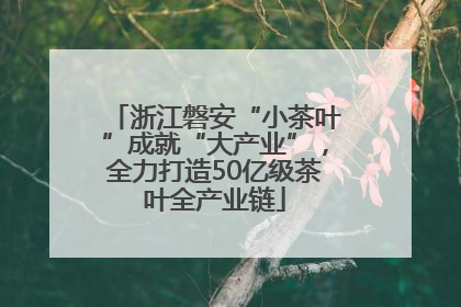 浙江磐安“小茶叶”成就“大产业”，全力打造50亿级茶叶全产业链