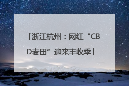 浙江杭州：网红“CBD麦田”迎来丰收季
