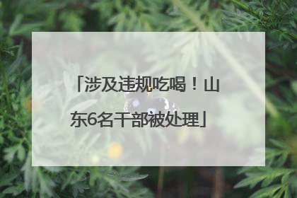 涉及违规吃喝！山东6名干部被处理