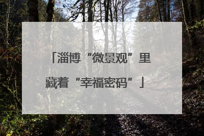 淄博“微景观”里藏着“幸福密码”