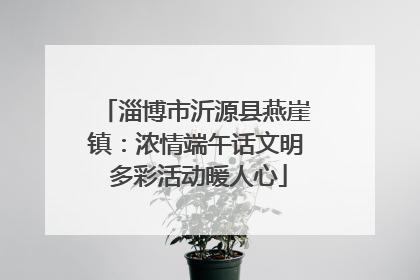 淄博市沂源县燕崖镇：浓情端午话文明 多彩活动暖人心