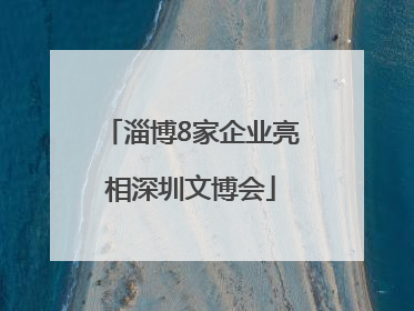 淄博8家企业亮相深圳文博会