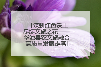 深耕红色沃土 尽绽文旅之花——华池县农文旅融合高质量发展走笔