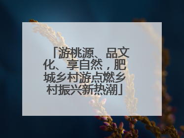 游桃源、品文化、享自然，肥城乡村游点燃乡村振兴新热潮