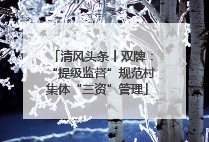 清风头条丨双牌：“提级监督”规范村集体“三资”管理