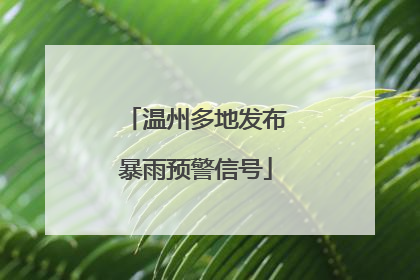 温州多地发布暴雨预警信号