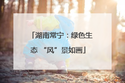 湖南常宁：绿色生态 “风”景如画