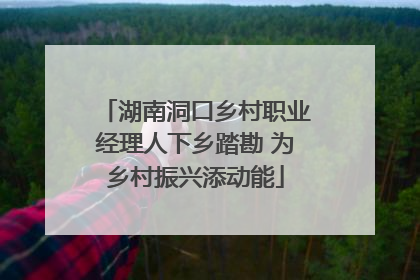 湖南洞口乡村职业经理人下乡踏勘 为乡村振兴添动能