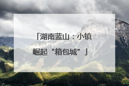 湖南蓝山：小镇崛起“箱包城”