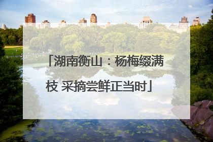 湖南衡山：杨梅缀满枝 采摘尝鲜正当时