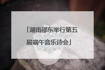 湖南邵东举行第五届端午音乐诗会