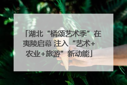 湖北“橘颂艺术季”在夷陵启幕 注入“艺术+农业+旅游”新动能