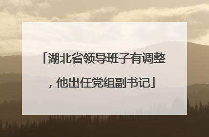 湖北省领导班子有调整，他出任党组副书记