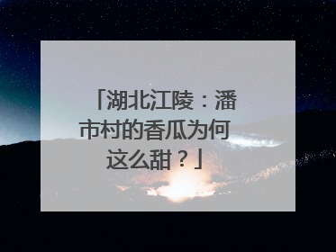 湖北江陵：潘市村的香瓜为何这么甜？