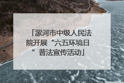 漯河市中级人民法院开展“六五环境日”普法宣传活动