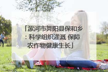 漯河市舞阳县保和乡：科学组织灌溉 保障农作物健康生长