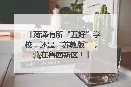 菏泽有所“五好”学校，还是“苏教版”，藏在鲁西新区！