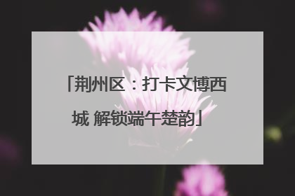 荆州区：打卡文博西城 解锁端午楚韵