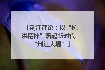 荆江评论：以“抗洪精神”筑起新时代“荆江大堤”