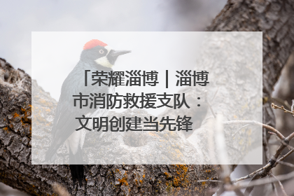 荣耀淄博｜淄博市消防救援支队：文明创建当先锋 蓝焰映红建新功