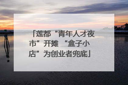 莲都“青年人才夜市”开摊 “盒子小店”为创业者兜底