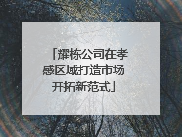 耀栋公司在孝感区域打造市场开拓新范式
